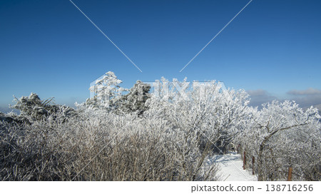 Taebaeksan 138716256