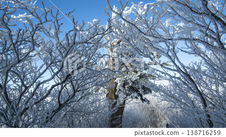 Taebaeksan 138716259