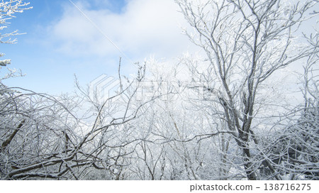 Taebaeksan 138716275