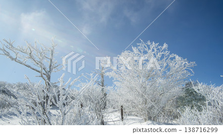 Taebaeksan 138716299