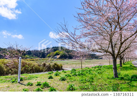 沿著小川原櫻花線河濱公園漫步 沿著小川原櫻花線河濱公園漫步 138716311