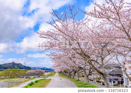 沿著小川原櫻花線河濱公園漫步 沿著小川原櫻花線河濱公園漫步 138716323