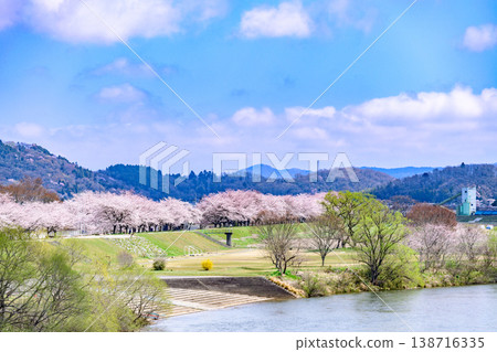 沿著小川原櫻花線河濱公園漫步 沿著小川原櫻花線河濱公園漫步 138716335