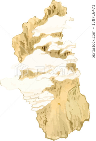 Natural history illustration material of the pure white evergreen bamboo. 138716473