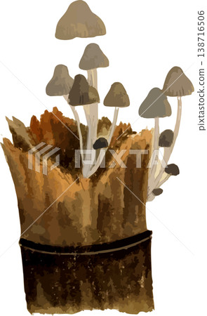 Natural history illustration of a long, slender bamboo shoot growing from a split bamboo tube. 138716506