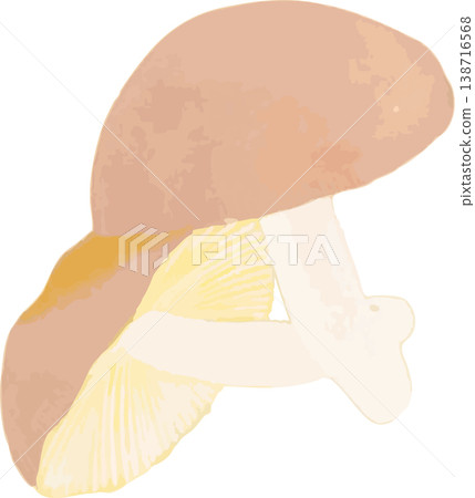 Natural history illustration material for the earthenware mushroom (Trametes versicolor) Natural history illustration material for the earthenware mushroom (Trametes versicolor) 138716568