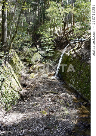 A decaying waterway in the forest 138718385