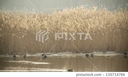 Hwarang Lake Hwarang Lake 138718766