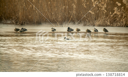 Hwarang Lake 138718814