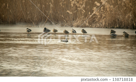 Hwarang Lake 138718818