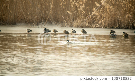 Hwarang Lake 138718822