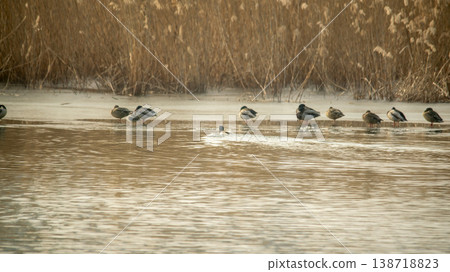 Hwarang Lake 138718823