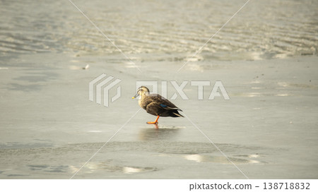 Hwarang Lake Hwarang Lake 138718832