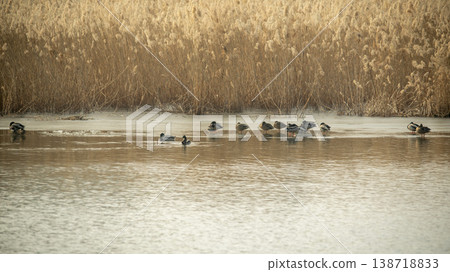 Hwarang Lake 138718833