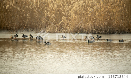 Hwarang Lake Hwarang Lake 138718844