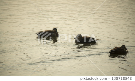 Hwarang Lake Hwarang Lake 138718848