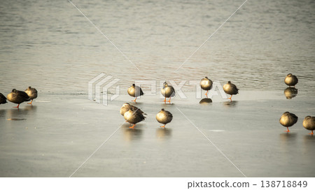 Hwarang Lake Hwarang Lake 138718849