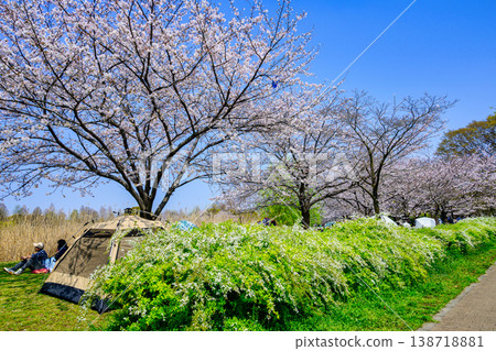 東京都足立區舍人公園:千本櫻節 東京都足立區舍人公園:千本櫻節 138718881