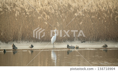 Hwarang Lake Hwarang Lake 138718904