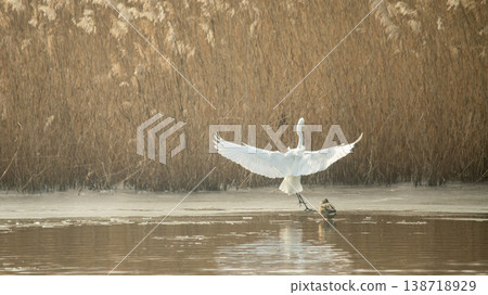 Hwarang Lake Hwarang Lake 138718929