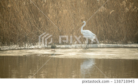 Hwarang Lake Hwarang Lake 138718945