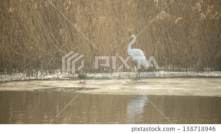 Hwarang Lake Hwarang Lake 138718946