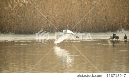 Hwarang Lake 138718947