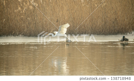 Hwarang Lake Hwarang Lake 138718948