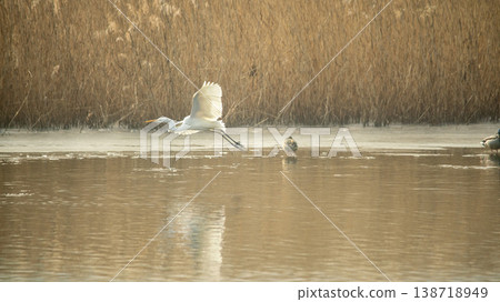 Hwarang Lake Hwarang Lake 138718949