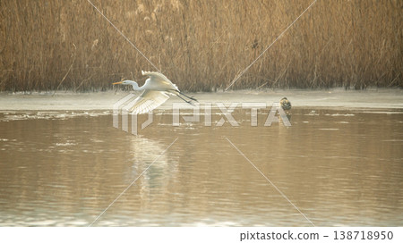 Hwarang Lake Hwarang Lake 138718950