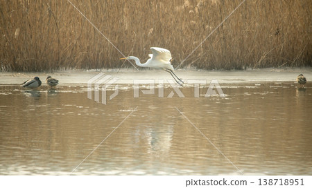Hwarang Lake 138718951