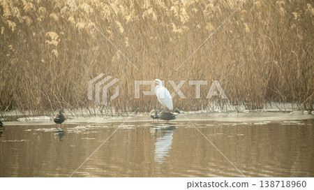 Hwarang Lake Hwarang Lake 138718960