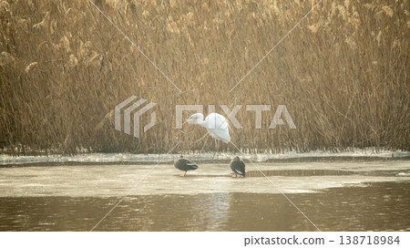 Hwarang Lake Hwarang Lake 138718984