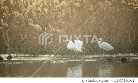 Hwarang Lake 138719161