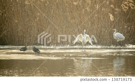 Hwarang Lake 138719173