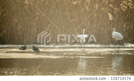 Hwarang Lake Hwarang Lake 138719174
