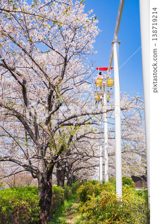 Meito Children's Land Todagawa in Spring: Cherry Blossoms in Full Bloom and the Cycle Monorail (Nagoya City, Aichi Prefecture) 138719214