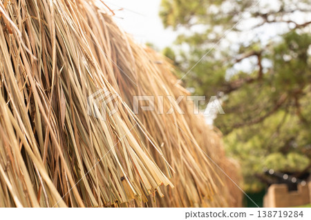Thatch roof texture from dried palms straw 138719284