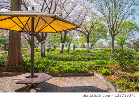 春天，名古屋市（愛知縣）的戶田川綠地（一座農業文化公園）櫻花盛開。 138719375