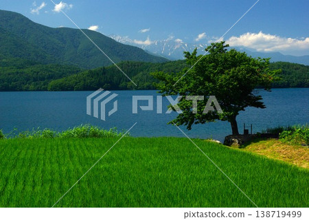 長野縣大町市青木湖的景色,以及初夏時節白馬村零星散落的鄉村風光,真是令人心曠神怡。 長野縣大町市青木湖的景色,以及初夏時節白馬村零星散落的鄉村風光,真是令人心曠神怡。 138719499