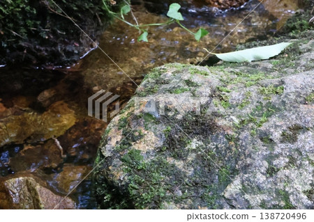 山裡的小河 山裡的小河 138720496