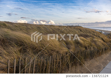 Coastal sand dunes with grass and wooden fence near beach natural landscape and protection concept Coastal sand dunes with grass and wooden fence near beach natural landscape and protection concept 138721124