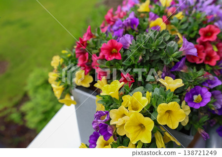 Colorful Spring Flower Arrangement In Outdoor Planter With Yellow Purple And Pink Bloom Closeup Colorful Spring Flower Arrangement In Outdoor Planter With Yellow Purple And Pink Bloom Closeup 138721249