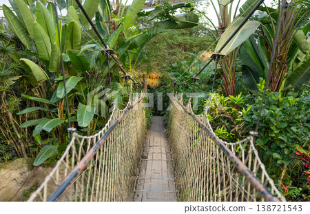 Rope Suspension Bridge in Tropical Garden Journey, Growth and Connection Concept 138721543