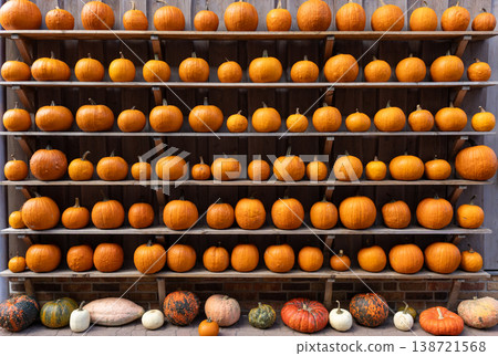 Pumpkin Collection Display On Wooden Shelf At Autumn Harvest Market With Various Shapes And Colors Pumpkin Collection Display On Wooden Shelf At Autumn Harvest Market With Various Shapes And Colors 138721568