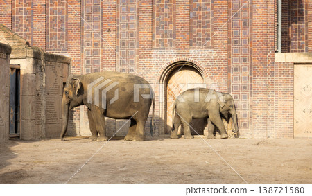 Adult Elephant and Calf Walking Together Wildlife Conservation and Family Bond Concept Adult Elephant and Calf Walking Together Wildlife Conservation and Family Bond Concept 138721580
