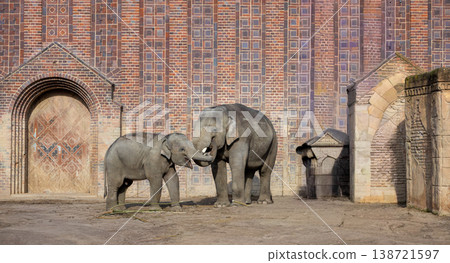 Adult and Baby Elephant in Front of Decorative Brick Wall Family Bond and Wildlife Conservation Concept Adult and Baby Elephant in Front of Decorative Brick Wall Family Bond and Wildlife Conservation Concept 138721597