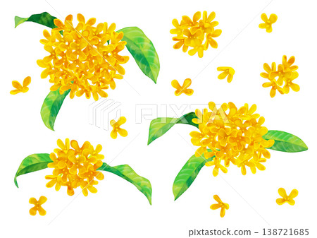 桂花（水彩風格） 138721685