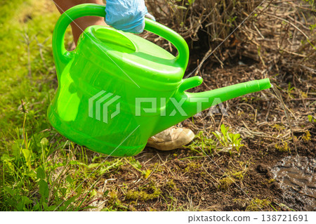 Gardening Watering Plant With Green Wateringcan Spring Care Growth Gardening Watering Plant With Green Wateringcan Spring Care Growth 138721691