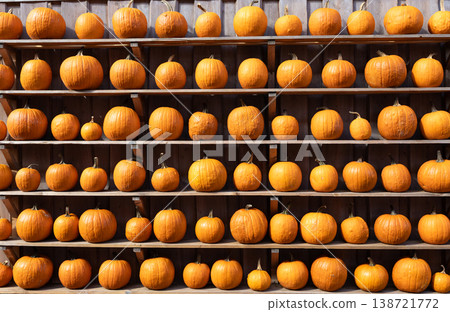 Fresh Orange Pumpkin Collection Displayed On Wooden Shelves Autumn Harvest Background Fresh Orange Pumpkin Collection Displayed On Wooden Shelves Autumn Harvest Background 138721772